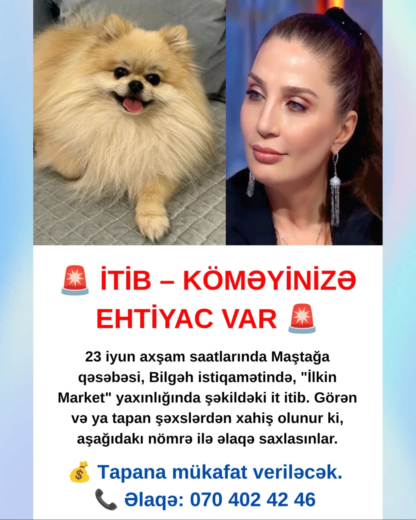 İT.jpg (204 KB)