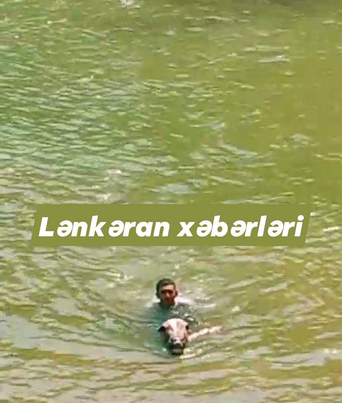 Lənkəran.jpg (129 KB)