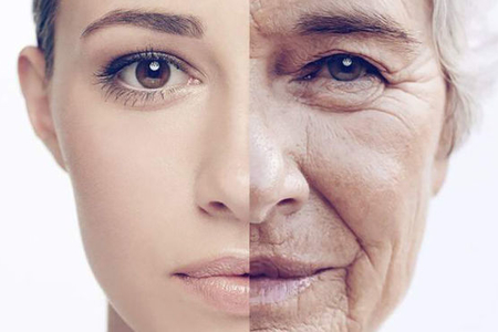 Ученые нашли способ остановить процесс старения