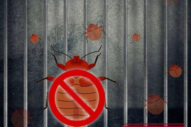 В иранских тюрьмах насекомые стали пыткой для заключенных - ФОТО