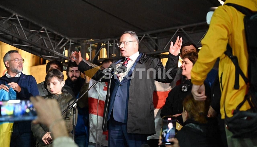 Tiflisdə keçirilən mitinqdə alman və litvalı deputatlar hakimiyyətin qərarına qarşı çıxdılar - VİDEO