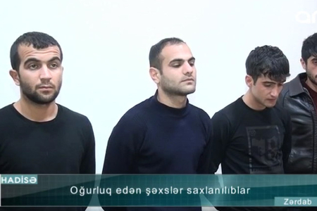 Tövlə, anbar və çay evindən oğurluq edən dəstə saxlanılıb - VİDEO