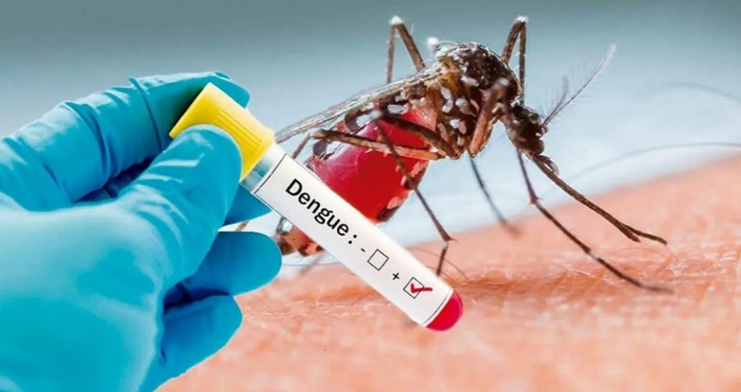 Вспышка лихорадки денге в Пуэрто-Рико