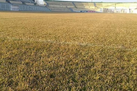 "Problem otun özündə yox, rəngindədir" - Gəncə stadionun direktoru