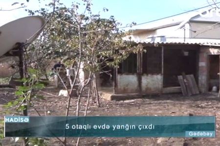 “Başını kəsib torbaya qoyublar” - Keçən il pulunu, bu il malını oğurladılar - VİDEO