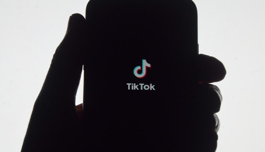 В еще одной стране задумались о блокировке TikTok