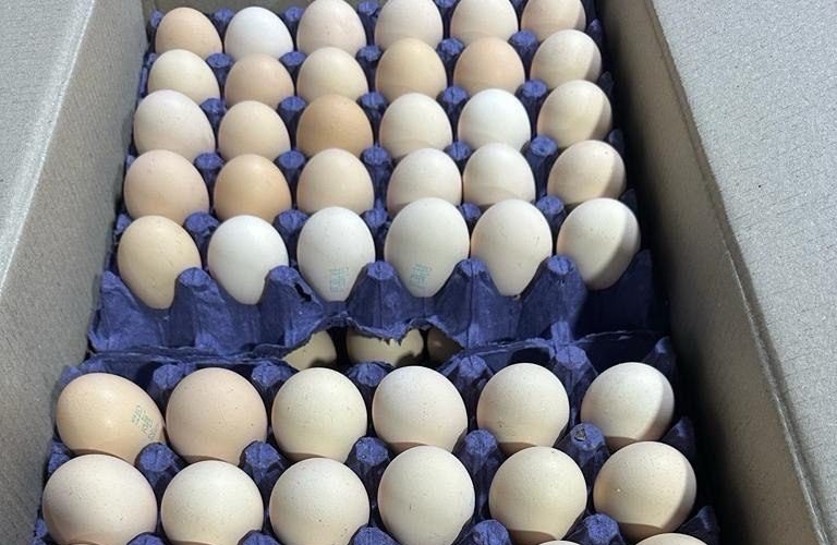 Число ввезенных в Россию яиц из Азербайджана достигло 3 млн штук