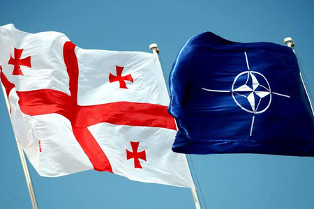 Image result for Nato Gürcüstan təlimləri