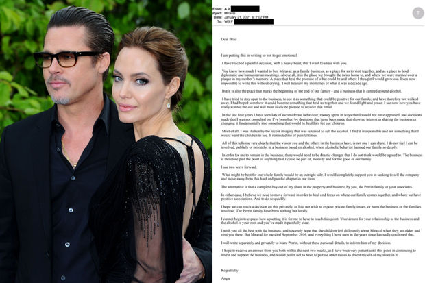Анджелина Джоли назвала причину развода с Брэдом Питтом - ФОТО