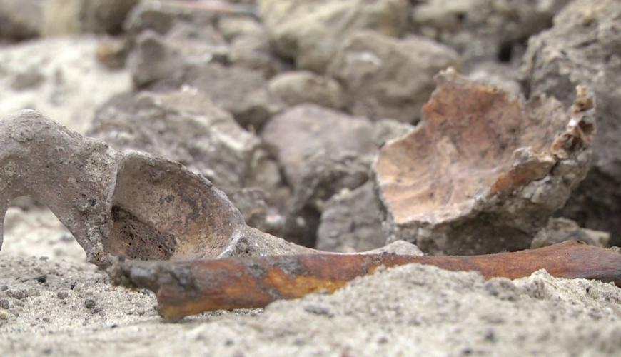 В Суговушане обнаружены фрагменты костей