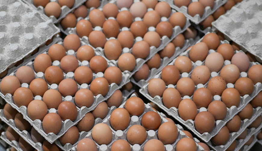 Азербайджан поставил в Россию порядка 1,5 млн пищевых яиц