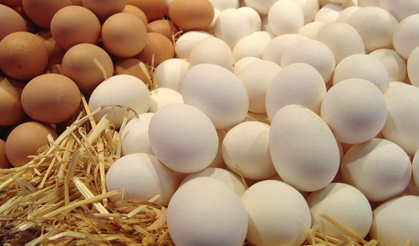 Rusiyada yumurta istehsalı yenə azaldı: Rüsumsuz idxalın müddəti uzadılacaq?