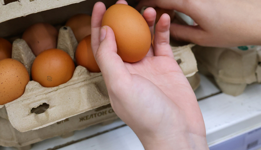 Россия получила 1,8 млн яиц из Азербайджана