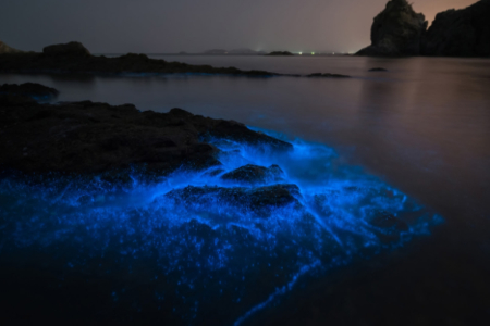 Çində dəniz mavi neon rənginə boyanıb- FOTOLAR