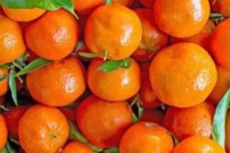 Cənubi Koreyadan hədiyyə edilən 200 ton mandarin Pxenyan sakinlərinə paylanacaq