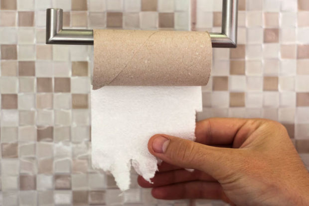Пара из Италии отказалась от туалетной бумаги ради спасения экологии - ФОТО