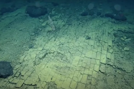 Ученые обнаружили «дорогу из желтого кирпича» на дне Тихого океана - ВИДЕО