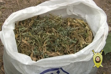 Polis 35 kiloqrama yaxın narkotik vasitə qanunsuz dövriyyədən çıxarılıb
