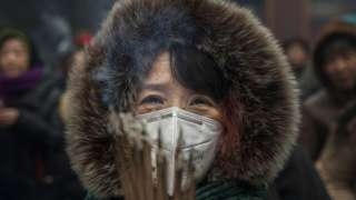 Çin: 2013-cü ildən indəyək ən təhlükəli quş qripi epidemiyası