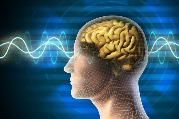 Ученые выяснили, когда у человека появляется сознание