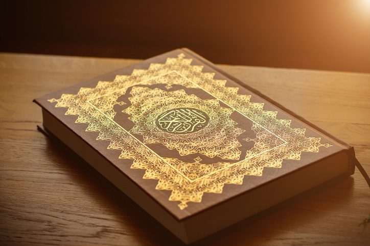 В Швеции снова сожгли Коран - ВИДЕО