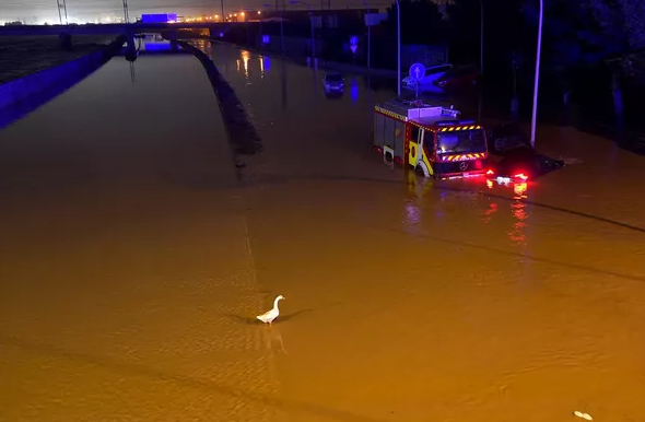 Ardını oxu...