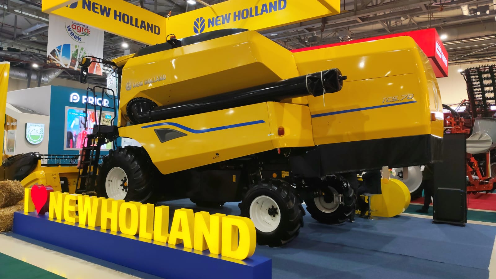 holland.jpg (173 KB)