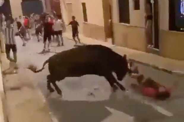 В Испании бык забодал мужчину, пытавшегося от него убежать - ВИДЕО