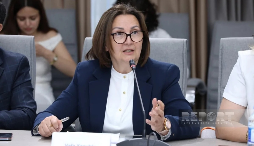 Vəfa Yaqublu: Qanun layihəsi məktəbəqədər və ümumi təhsil mü