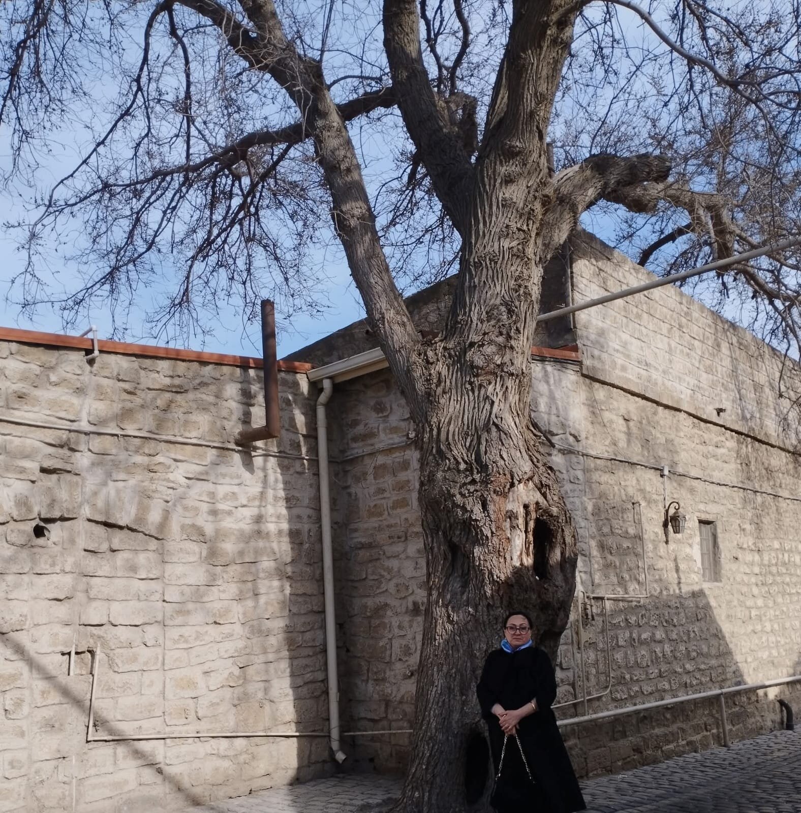 d5d71e7e-f9a8-4167-a348-4ba89ae296a6.jpg (460 KB)