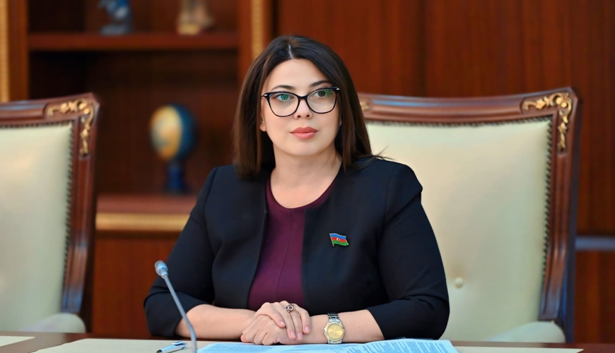 1993-cü ildə xilas edilən dövlət, 2020-ci ildə Zəfər qazanan