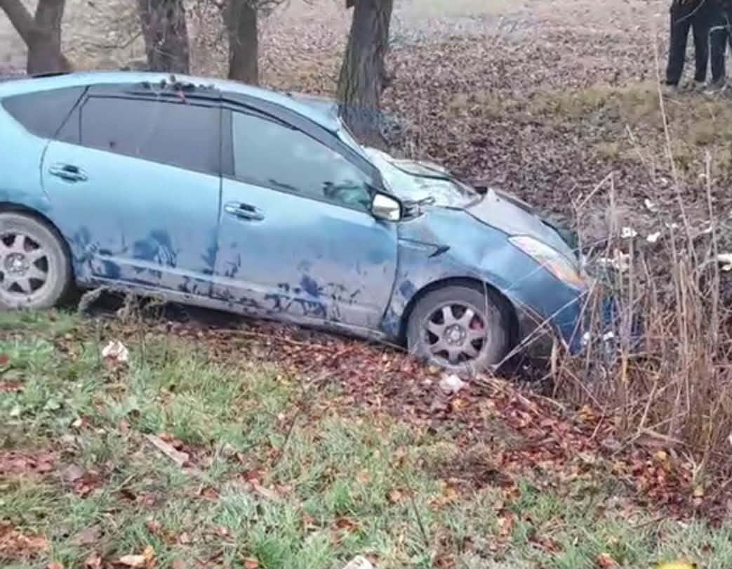 06fe5210-d584-4bc9-914c-a23254b9ed07 (2).jpg (85 KB)