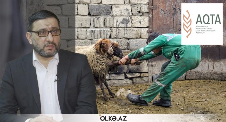 AQTA qurban ətini satmağı təklif edir, din isə... - Hacı Şahindən AÇIQLAMA