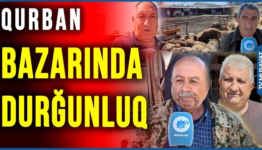 Qurban bazarında gözlər son günə dikilib: Qiymətlər qalxıb? - Video