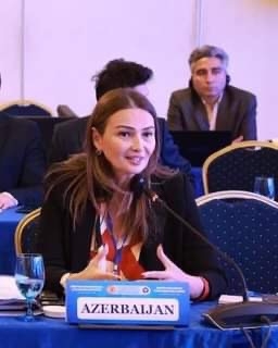 Qənirə Paşayeva Asiya Parlament Assambleyasının iclasında Ermənistanın ekoloji terrorundan danışdı