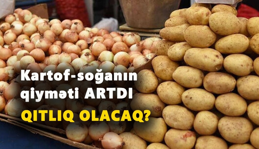 Bazarda kartof-soğanın qiyməti ARTDI – QITLIQ OLACAQ? – REPORTAJ