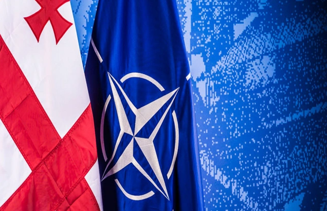 ABŞ Gürcüstanı Vaşinqtonda keçiriləcək NATO sammitinə dəvət edib