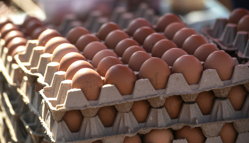 Азербайджанские яйца понизили темпы роста цен в России