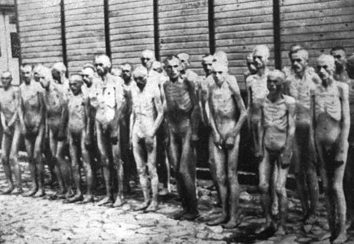 Bundesarchiv_Bild_192-208,_KZ_Mauthausen,_Sowjetische_Kriegsgefangene.jpg (130 KB)