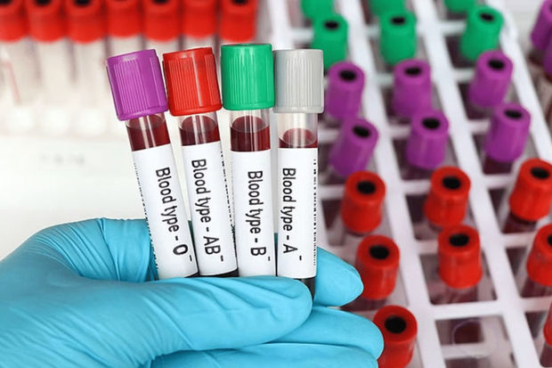 Европейские биологи обнаружили ферменты, превращающие разные группы крови в первую