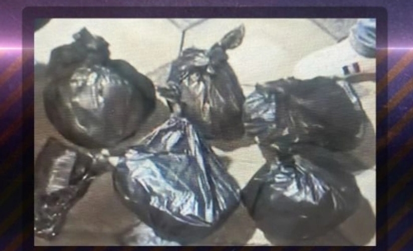 Baş İdarə əməliyyat keçirib, 6 nəfər saxlanılıb, 21 kq marixuana aşkarlanıb