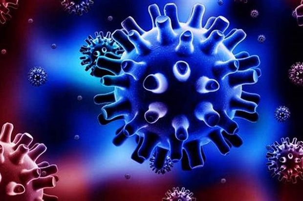 Ученые предупредили о возможной пандемии из-за сибирских зомби-вирусов