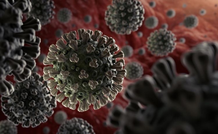 Respirator virus infeksiyalarının profilaktikası üçün BUNLARI EDİN