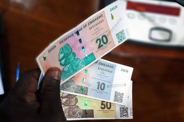 В Зимбабве появится новая денежная единица