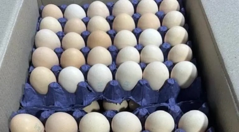 Азербайджан за неделю поставил в Россию 2,7 млн яиц