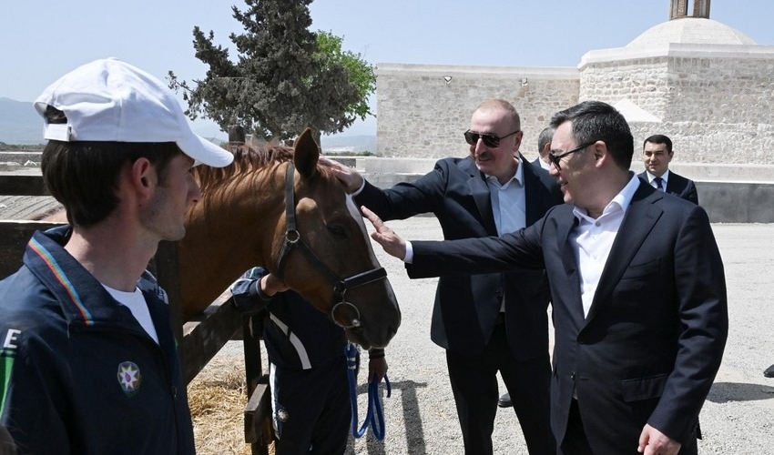 Qırğızıstan prezidentinə Qarabağ atı hədiyyə edildi