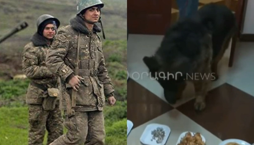 Ermənistan ordusunun BİABIRÇI VƏZİYYƏTİ: onlara verilən yeməyi it də yemir - VİDEOFAKT
