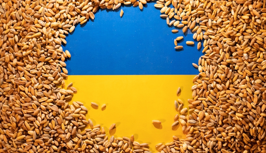 Ukraynada 32 milyon taxıl dünya bazarına çıxarılmağını gözləyir