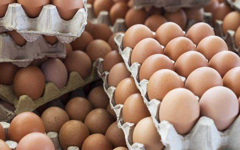 Rusiyada yumurtanın qiyməti daha da ucuzlaşdı