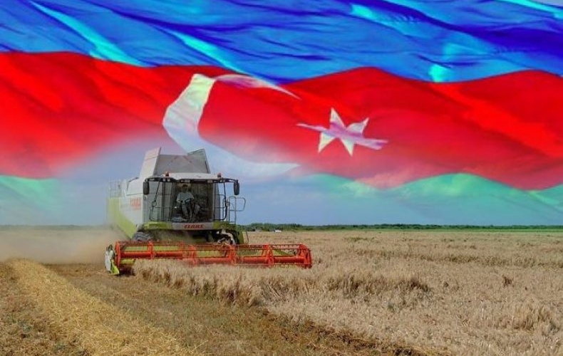 Импорт пшеницы в Азербайджан освобожден от НДС еще на 3 года
